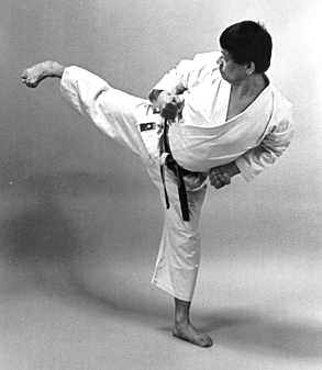 Shigeru Egami: Shotokai Karate